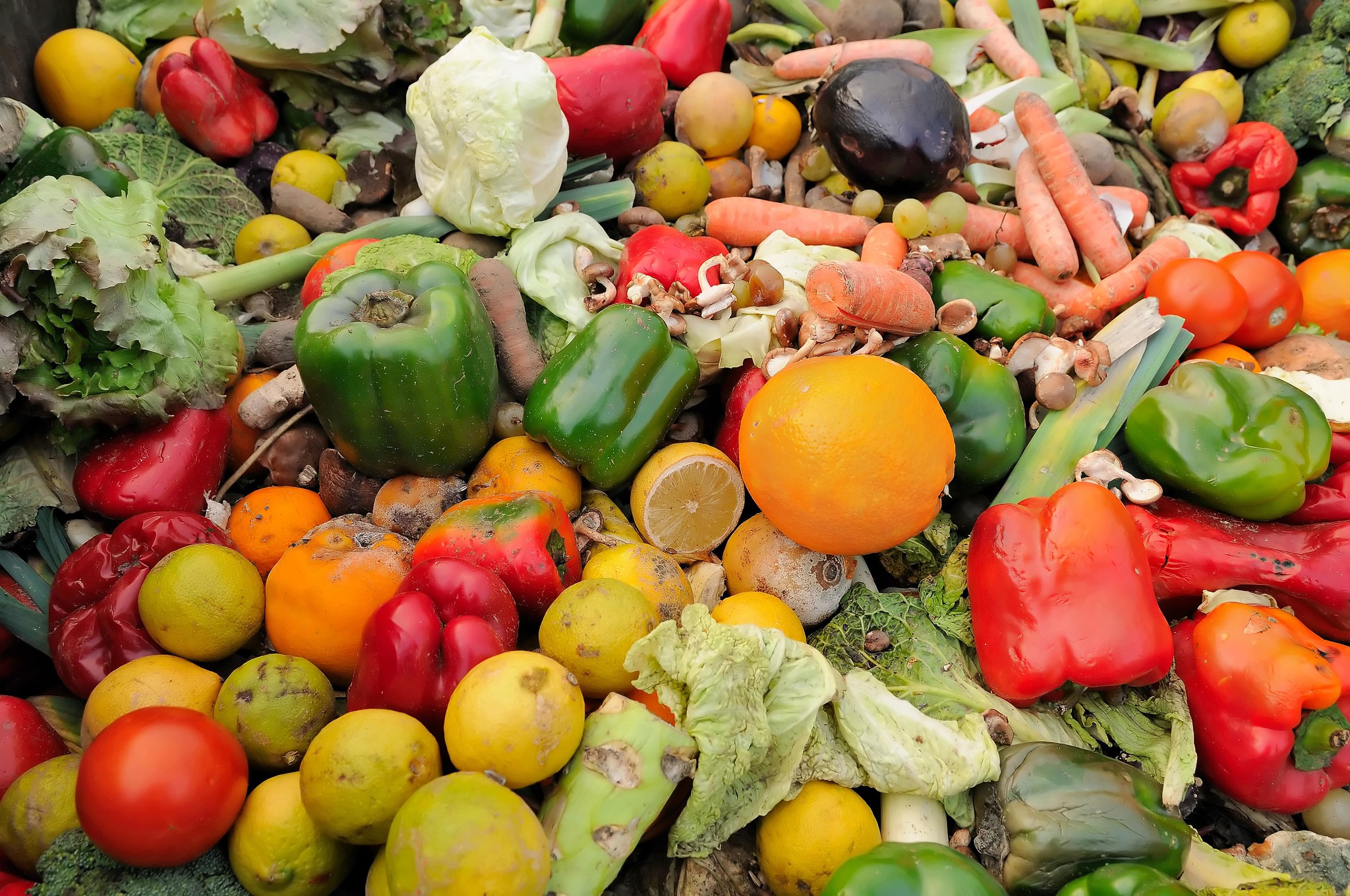 Immagine descrittiva di Cibo: con Mettiamoci in RIGA le soluzioni per mangiare sostenibile e ridurre gli sprechi
